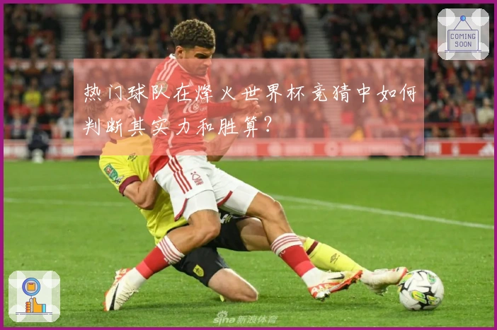 热门球队在烽火世界杯竞猜中如何判断其实力和胜算？