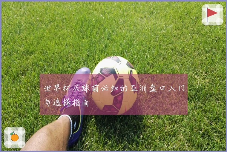 世界杯买球前必知的亚洲盘口入门与选择指南